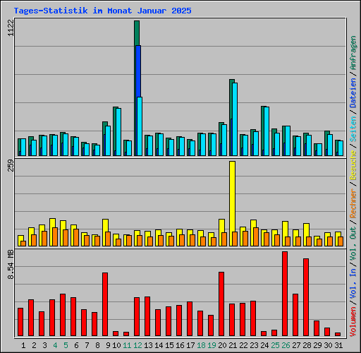 Tages-Statistik im Monat Januar 2025