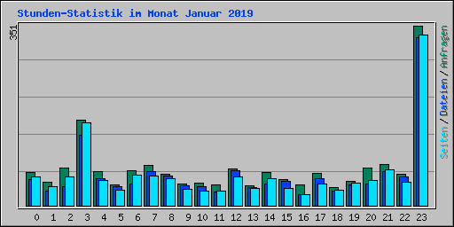 Stunden-Statistik im Monat Januar 2019