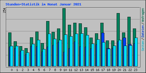 Stunden-Statistik im Monat Januar 2021