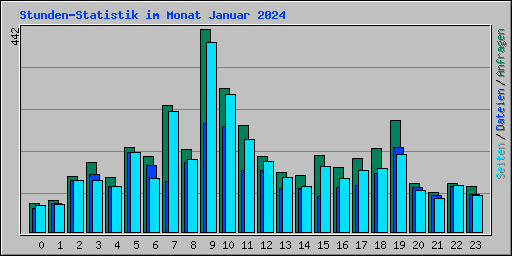 Stunden-Statistik im Monat Januar 2024