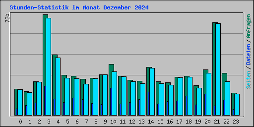 Stunden-Statistik im Monat Dezember 2024