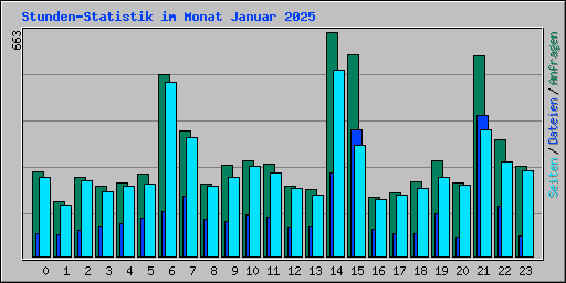 Stunden-Statistik im Monat Januar 2025