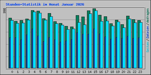 Stunden-Statistik im Monat Januar 2026